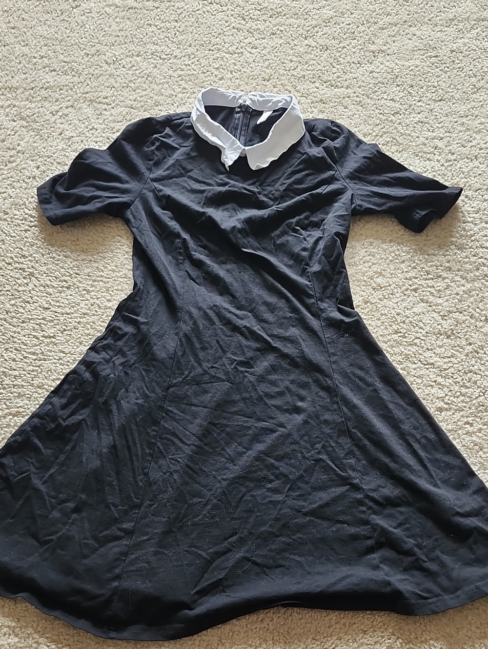 Black Midi Dress with White Peter Pan Collar